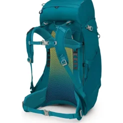 Ace 38 Blue Spikemoss/Deep Peyto
