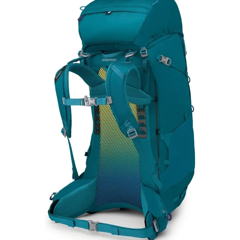 Ace 65 Blue Spikemoss/Deep Peyto
