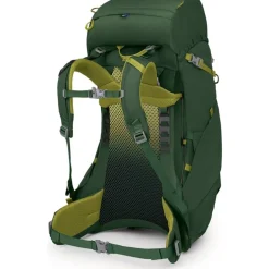Ace 38 Green Canopy/Matcha Green