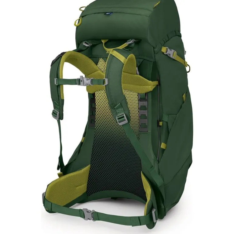 Ace 38 Green Canopy/Matcha Green