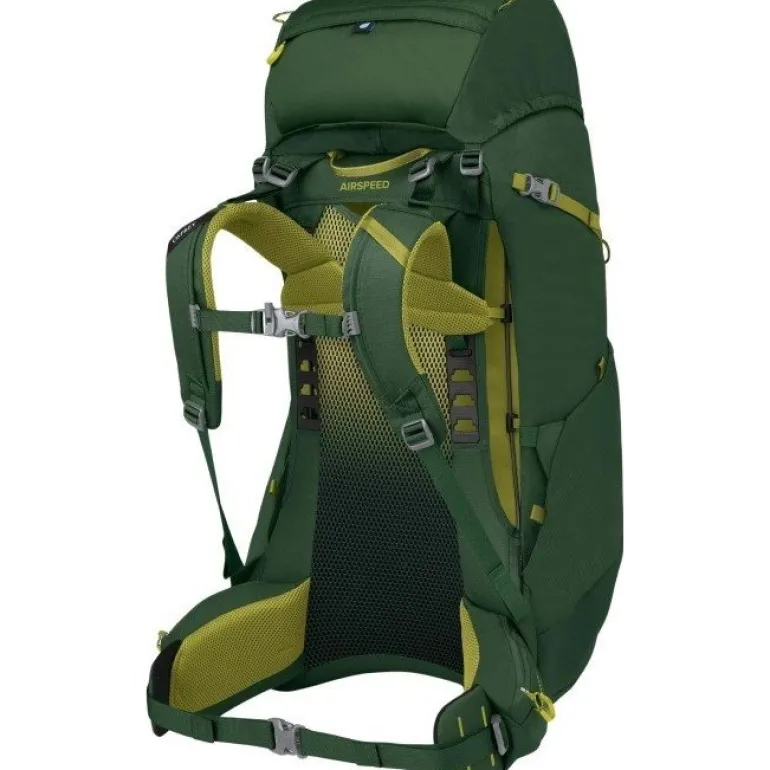 Ace 50 Green Canopy/Matcha Green