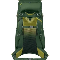 Ace 50 Green Canopy/Matcha Green