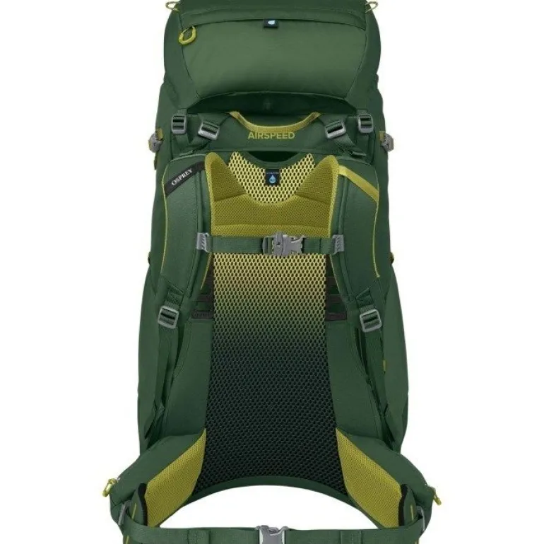 Ace 50 Green Canopy/Matcha Green