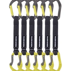 Alpha Sport QD Lime 6-Pack