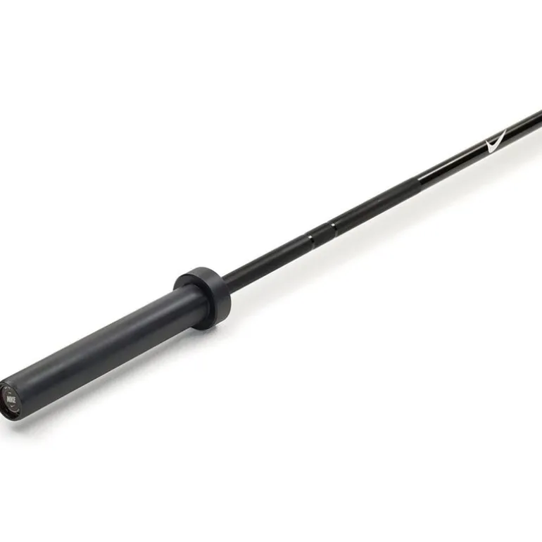 Barbell, Skivstång