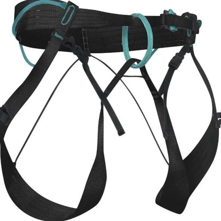 Choucas Harness Black