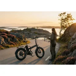 Classic Elcykel Jet Black