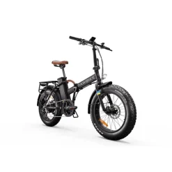 Classic Elcykel Jet Black