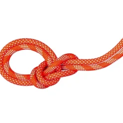 9.8 Crag Classic Rope Duodess 80m