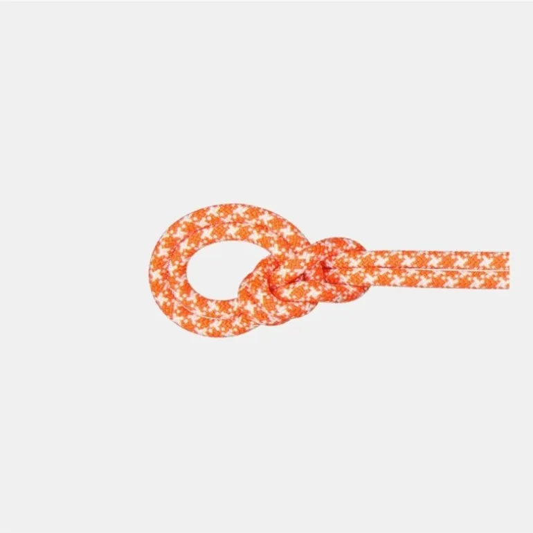 9.5 Crag Classic Rope 50m