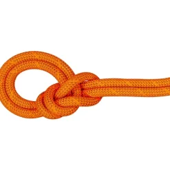 9.8 Crag Dry Rope 60m