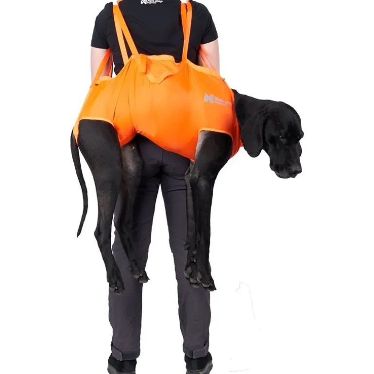 Dog Rescue Sling Orange