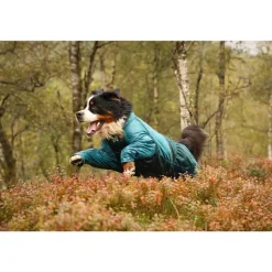 Fjord overall raincoat Teal