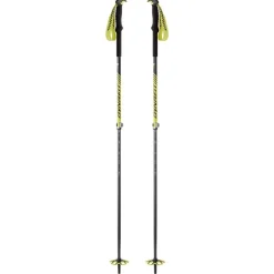 Free Vario Pole