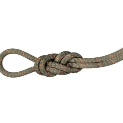 9.9 Gym Workhorse Classic Rope 50m