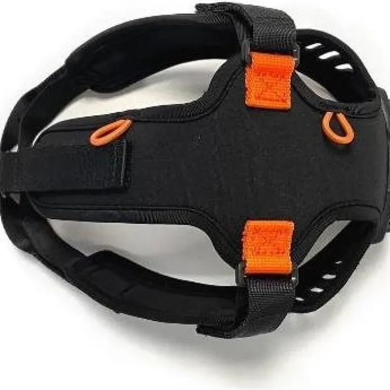 Ignite Head mount
