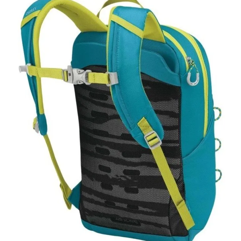 Jet 12 Blue Spikemoss/Lemongrass