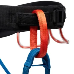M Momentum Harness Kingfisher