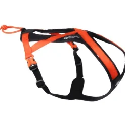 Rush harness Black/Orange