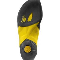 Skwama Purple/Yellow