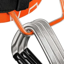 4 Slide Harness Vibrant Orange/Black
