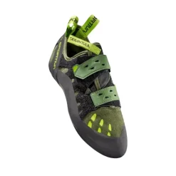 Tarantula Olive/Neon
