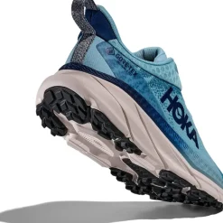 W Challenger Atr 7 Gtx Raindrop / Grout